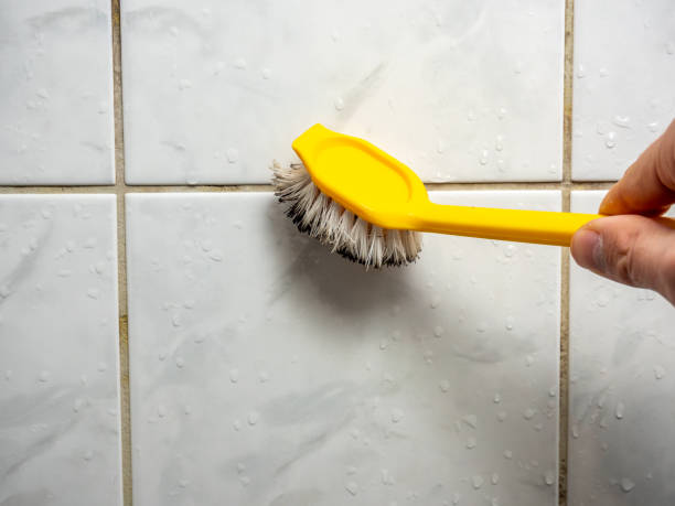 Best Mold Damage Repair  in Interlaken, CA