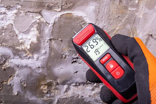 Best Mold Testing  in Interlaken, CA