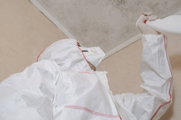 Best Mold Testing  in Interlaken, CA