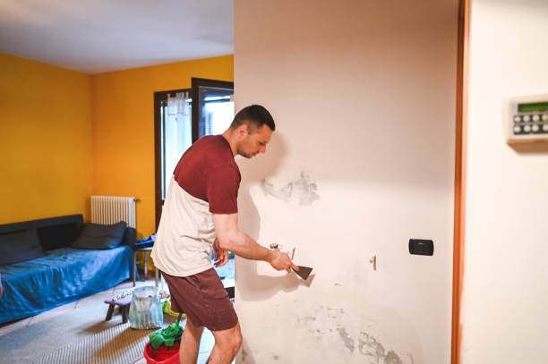 Best Toxic Mold Removal  in Interlaken, CA